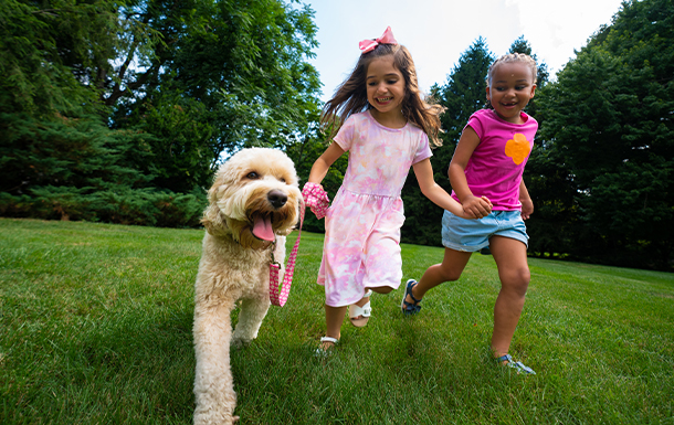 Animal Advocates - Gillette (Grades K-8)